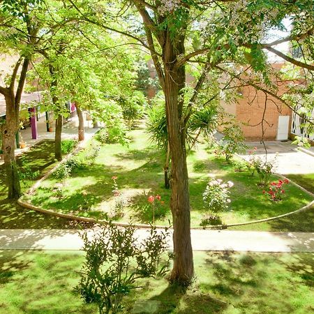 فندق Lantana Garden Pilas المظهر الخارجي الصورة
